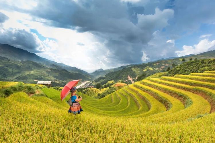 文旅部 教育部等:充分開發民間文化藝術研學游 - 中研在線·研學旅行