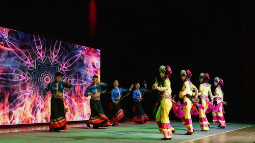 云南文化藝術(shù)代表團(tuán)約旦系列演出活動(dòng)取得圓滿成功