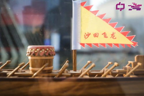東莞新增一處文化藝術(shù) 打卡點(diǎn) ,邂逅疍家 龍舟和莞草